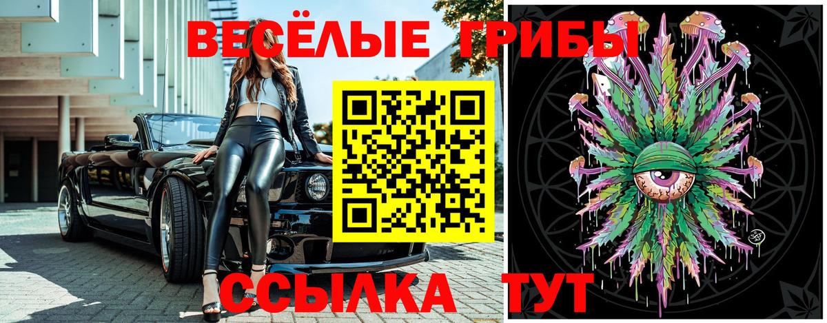 Псилоцибиновые грибы Psilocybe Выборг