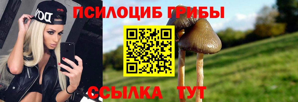 Псилоцибиновые грибы мухоморы  Псилоцибиновые грибы мухоморы  Вход с VPN  Выборг 